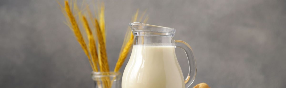 I benefici e le proprietà del latte di avena