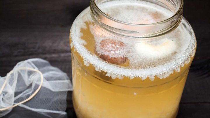 Kefir d’acqua pronto da bere: la ricetta 